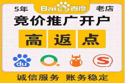 百度SEM推广策略：成功案例解析